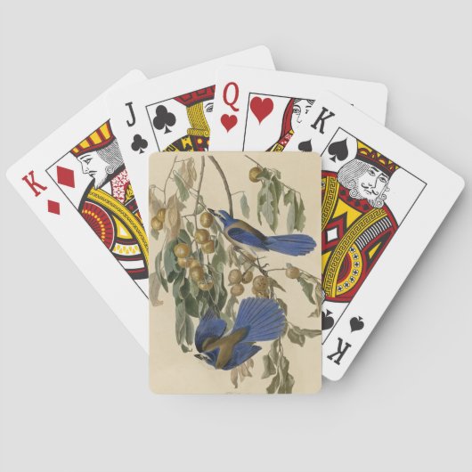 Jeu De Cartes Florida Jay (Scrub-Jay) Audubon's Birds of America (dos)