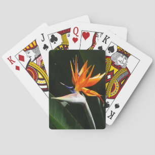 Jeu De Cartes Flower tropical orange paradise