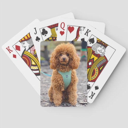 Jeu De Cartes Fluffy Brown Poodle Chien chiot (dos)