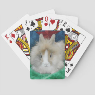 Jeu De Cartes Fluffy Lionhead Bunny Lapbit Jouer aux cartes