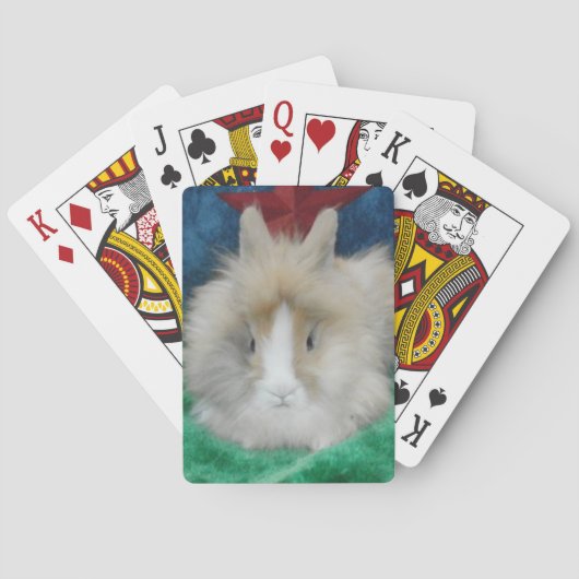 Jeu De Cartes Fluffy Lionhead Bunny Lapbit Jouer aux cartes (dos)