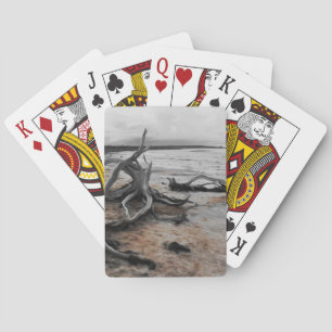 Jeu De Cartes Forces naturelles du lac Tyrrell