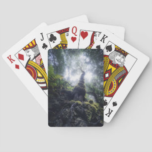 Jeu De Cartes Forests Anaga Rural Park Canary Islands