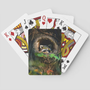 Jeu De Cartes Forests Raccoon Peeking