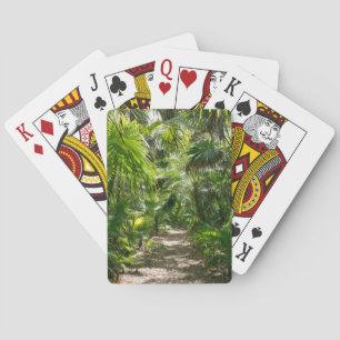 Jeu De Cartes Forests Tropical Rainforest Tulum Mexico