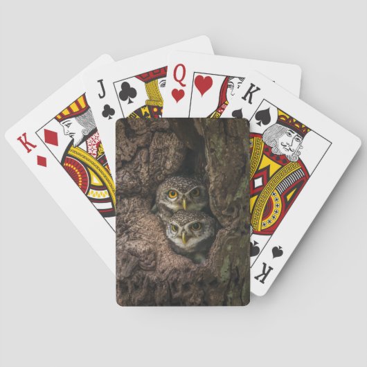Jeu De Cartes Forests | Two Owls Looking (dos)