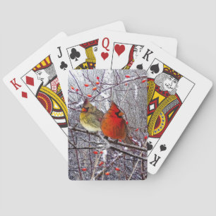 Jeu De Cartes Forêt cardinale