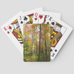 Jeu De Cartes Forêt d'automne I Photographie de paysage automnal
