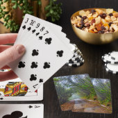 Jeu De Cartes Forêt moussue (In Situ)