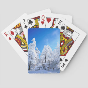 Jeu De Cartes Forêt nationale de Cleveland