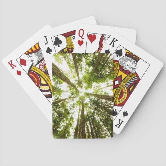 Jeu De Cartes Forêt tropicale verte luxuriante (dos)