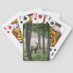 Jeu De Cartes Forêt Woodlands & Red Deer