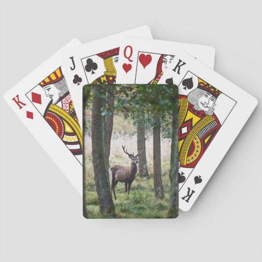 Jeu De Cartes Forêt | Woodlands & Red Deer (dos)