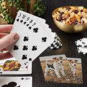 Jeu De Cartes Fox Terrier (In Situ)