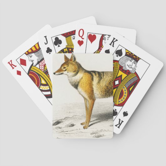 Jeu De Cartes Fox vintage illustré (dos)