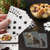 Jeu De Cartes Fractale de chat de calicot (In Situ)