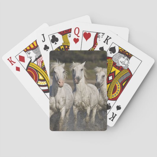 Jeu De Cartes France, Camargue. Chevaux courir (dos)
