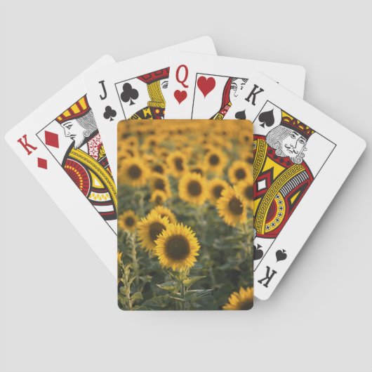 Jeu De Cartes France, Vaucluse, sunflowers field (dos)