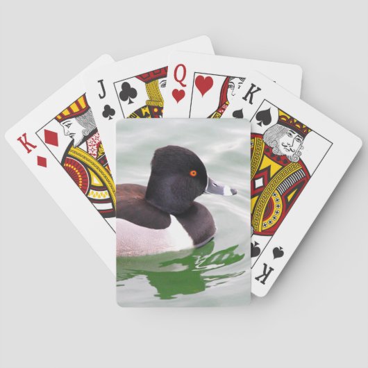 Jeu De Cartes Fuligule à collier (dos)
