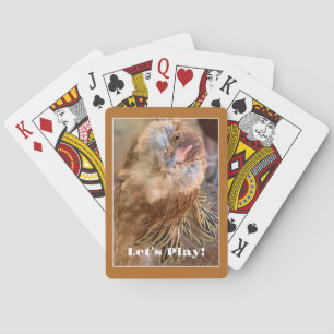 Jeu De Cartes Funky Angled Chicken Head Photo