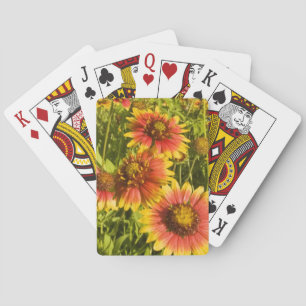 Jeu De Cartes Gaillardia pulchella) fleurs sauvages