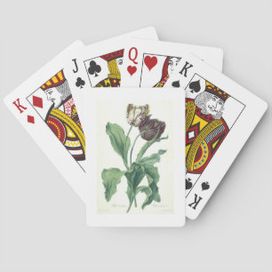 Jeu De Cartes Garden Tulip, from 'Opera Botanica', engravée par