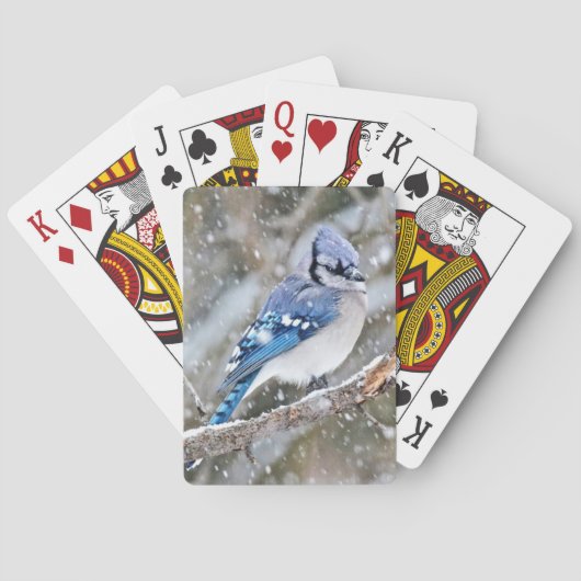 Jeu De Cartes Geai bleu dans une tempête de neige (dos)