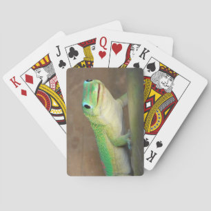 Jeu De Cartes Gecko Jour Poussière Or