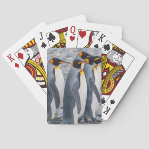Jeu De Cartes Géorgie du Sud. Manchots royaux