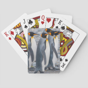 Jeu De Cartes Géorgie du Sud. Manchots royaux