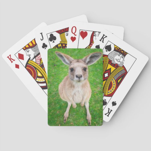 Jeu De Cartes Getty Images | Baby Kangaroo (dos)