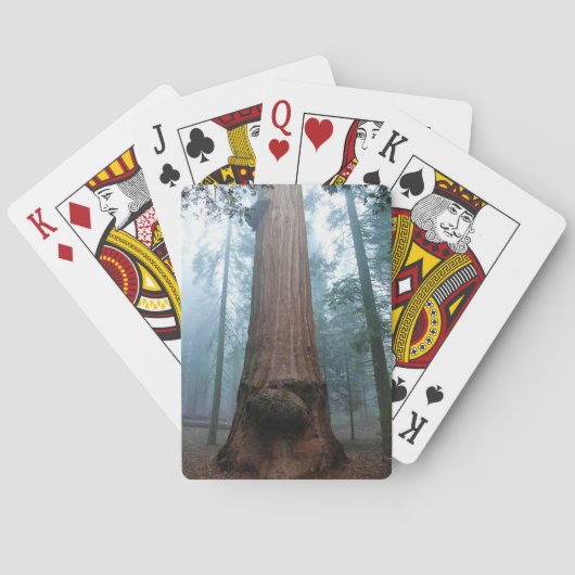 Jeu De Cartes Giant Sequoia Tree in Grant Grove, CA (dos)