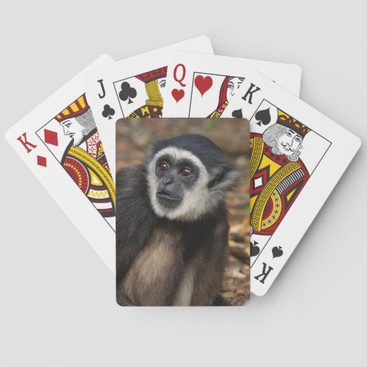 Jeu De Cartes Gibbon (Hylobates Lar) à poitrine blanche, singe (dos)