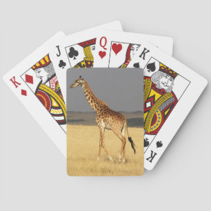 Jeu De Cartes Girafe corps complet Afrique Animaux africains