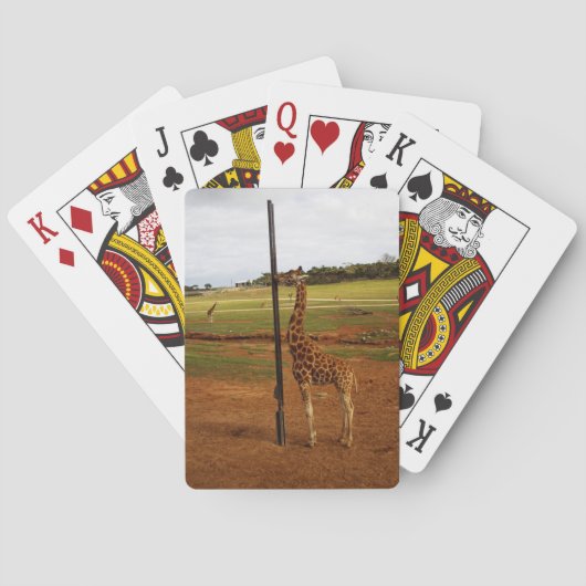 Jeu De Cartes Giraffe Lique Son Pôle, (dos)