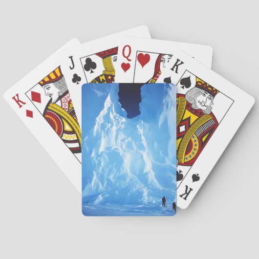 Jeu De Cartes Glace Antarctique (dos)