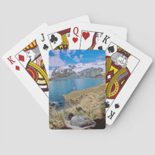 Jeu De Cartes Glaciers et voilier en arrière - plan