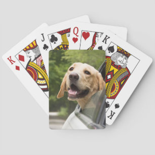 Jeu De Cartes Golden Labrador In Rearview Mirror