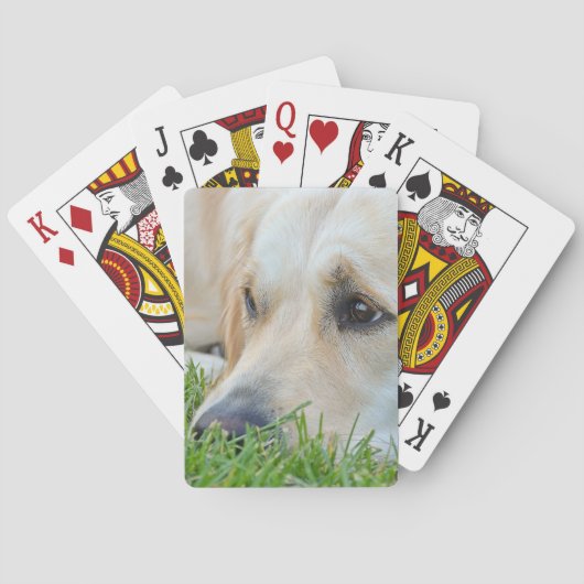 Jeu De Cartes Golden Pup (dos)