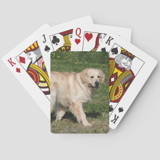 Jeu De Cartes Golden Retriever (dos)