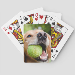 Jeu De Cartes Golden Retriever Avec Le Bal De Tennis