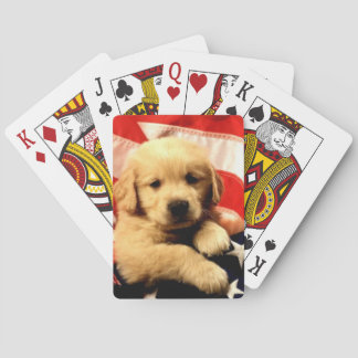 Jeu De Cartes Golden Retriever Chien Chien Chien Chien Jouant de