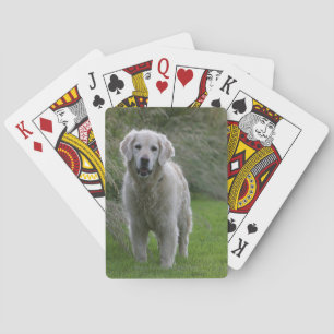 Jeu De Cartes Golden Retriever en course 2