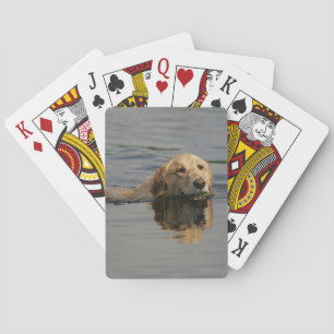 Jeu De Cartes Golden Retriever Nageant