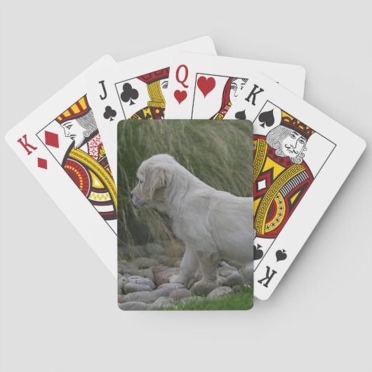 Jeu De Cartes Golden Retriever Puppy Standing (dos)
