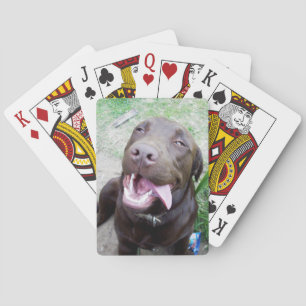 Jeu De Cartes Goofy Delties : Chocolat Brown Labrador Puppy,
