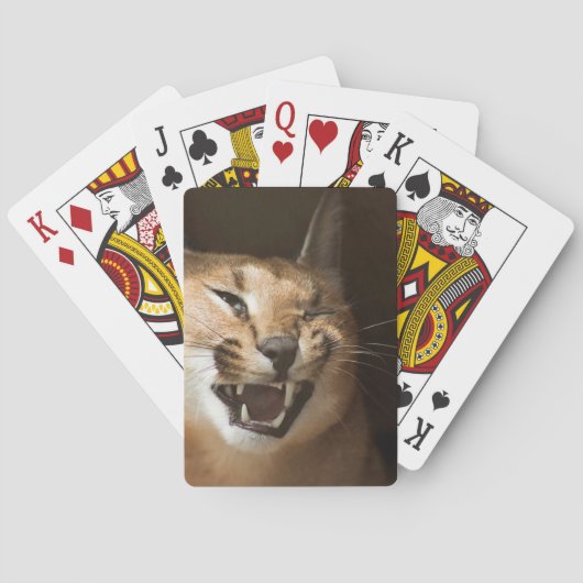 Jeu De Cartes Goofy Lynx (dos)
