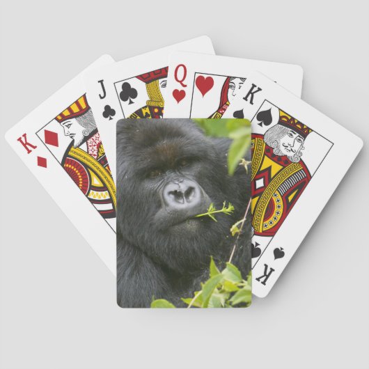 Jeu De Cartes Gorilla de Silverback Mountain (dos)