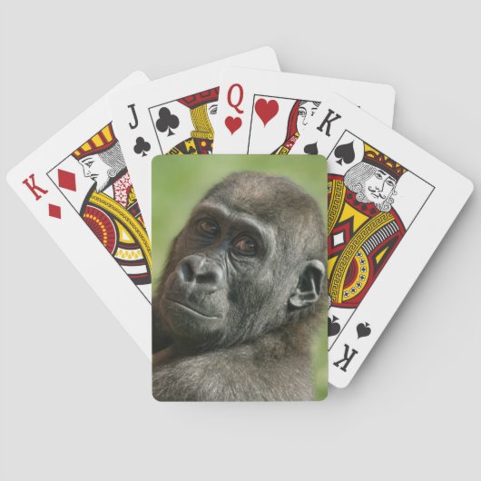 Jeu De Cartes Gorilla Youngster (dos)