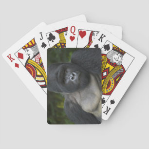 Jeu De Cartes Gorille de montagne et Silverback 5